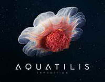 Майдың түсі алдамшы: Мотор майының қараюы нені білдіреді?