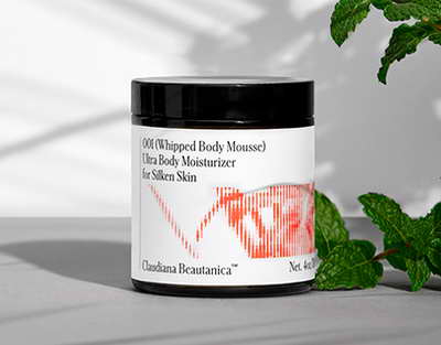 Шымкентте Еуразиялық үкіметаралық кеңестің кеңейтілген отырысы өтті