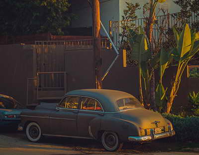 Bu sahədə Azərbaycanda qanun qəbul olunmasına ehtiyac var - Sosioloq