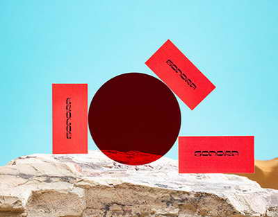 Ресей ОСК өкілі: Қазақстандағы референдум заң талаптарына сай өтті